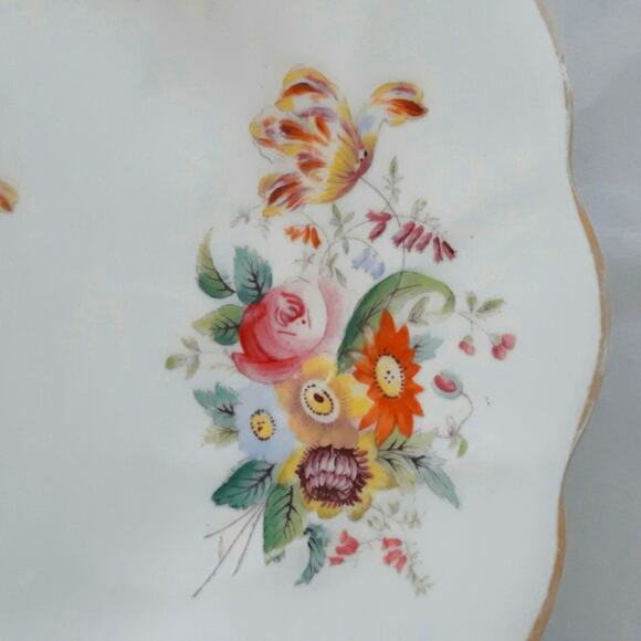 Coalport Junetime Vintage Floral Scalloped Plate - Picture 2 of 5